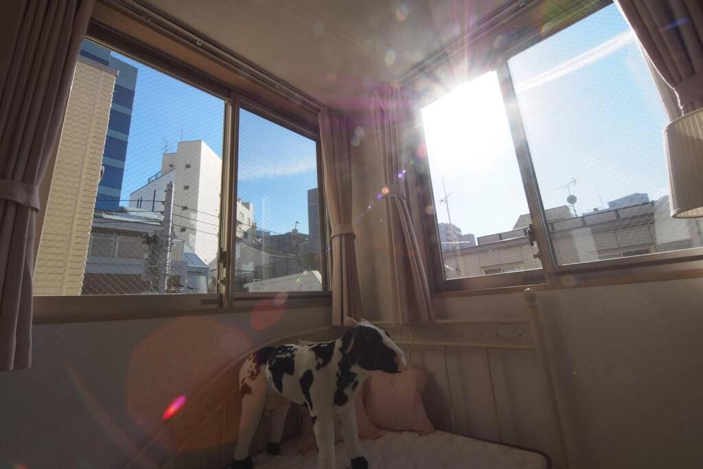 【Great Location!】Near Shinjuku Sta./Girls #302 Appartamento Tokyo Esterno foto